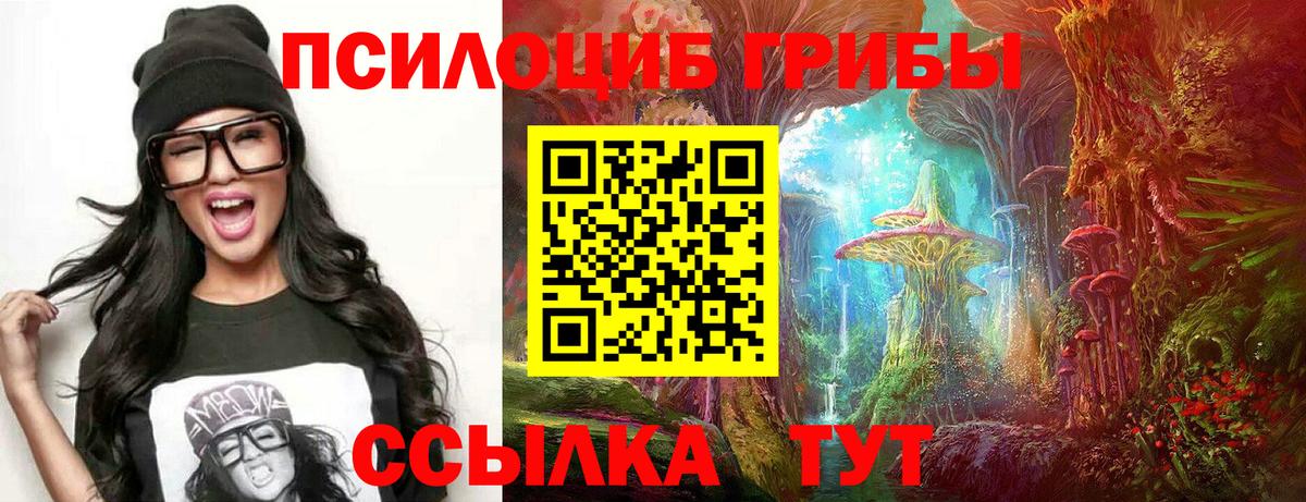 Псилоцибиновые грибы Psilocybine cubensis  Вход с VPN  Кингисепп 